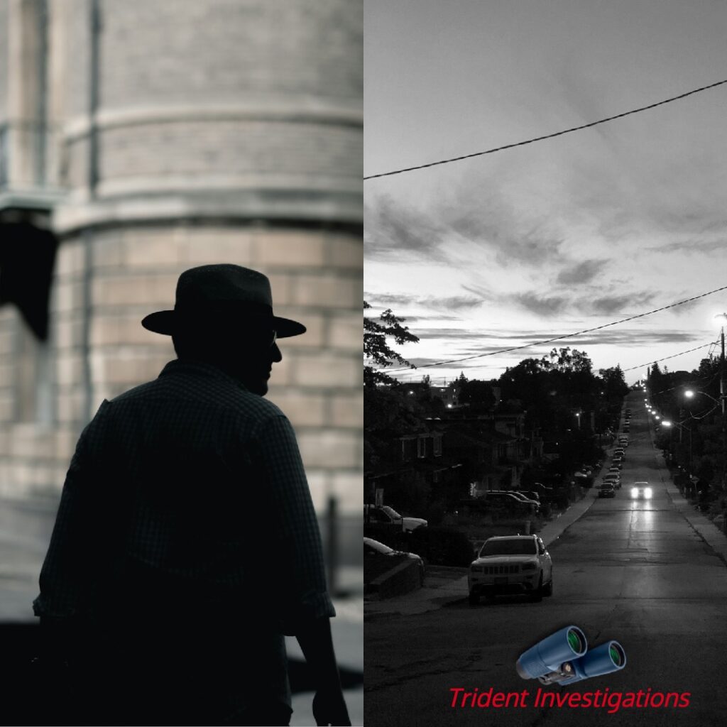 Chanakyapuri Detective Agency