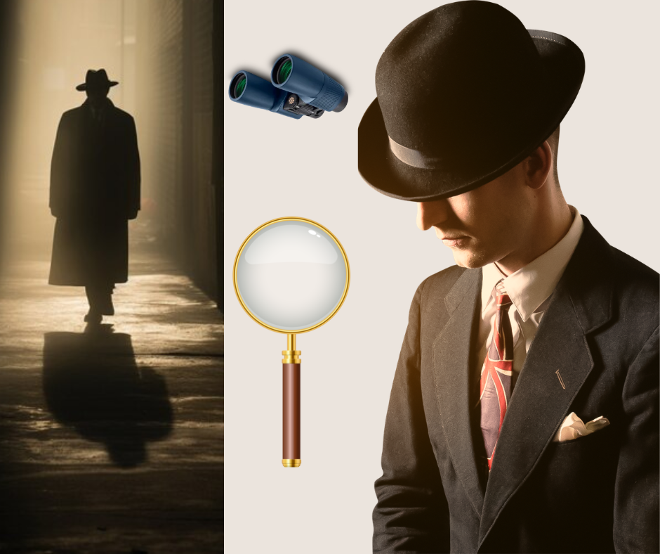 professional detective agency